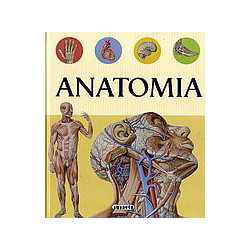 Ανατομία
