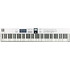 Arturia Keylab Essential MK3 88 White