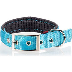 Pet Interest Neoprene Standard Fluo Κολάρο Σκύλου Γαλάζιο 2.5x60cm