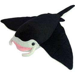 Wild Planet Manta Ray K7415