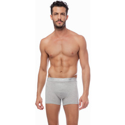Minerva Ανδρικά Μποξεράκια Σετ 2Pack Γκρι 90-20511