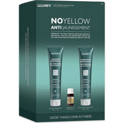 Saryna Key No Yellow Σετ Περιποίησης Μαλλιών Conditioner 180ml + Λάδι 10ml + Σαμπουάν 180ml