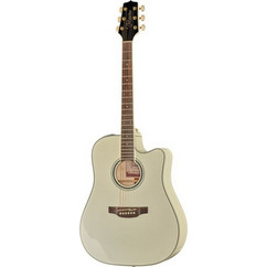 Takamine GD37CE