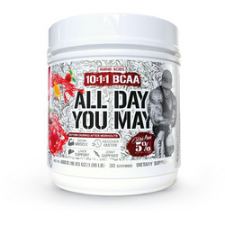 Rich Piana 5% Nutrition All Day You May 10:1:1 BCAA Fruit Punch 480gr