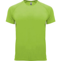 Roly Bahrain Παιδικό T-Shirt Κοντομάνικο Lime 0407