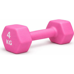 Energy GA0134KG Βαράκι Εξάγωνο Πλαστικοποιημένο 4kg