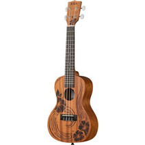 Kala Ukulele KA-UNITY-T