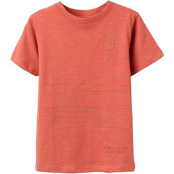 Zippy Παιδικό T-Shirt Κοντομάνικο Πορτοκαλί ZKBAP0303-26003