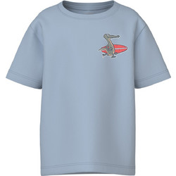 Name It Παιδικό T-Shirt Κοντομάνικο Γαλάζιο 13241580