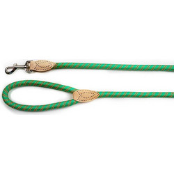 Glee Rope Λουρί Σκύλου 1.2m x 18mm Πράσινο