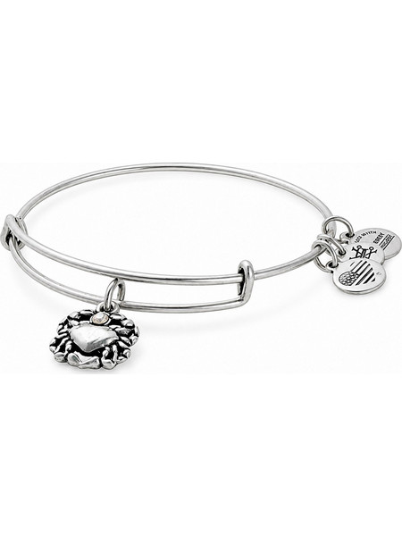 Alex and Ani Γυναικείο Βραχιόλι Βέργα Ασημί A17EBCRRS