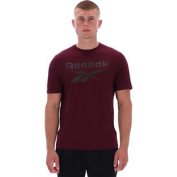 Reebok Classics Ανδρικό Αθλητικό T-Shirt Μπορντό 100250231