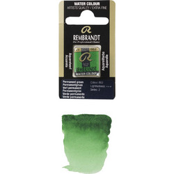 Royal Talens Rembrandt 662 Permanent Green Νερομπογιά 11-586-662
