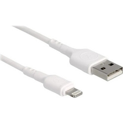 DeLOCK 87866 USB-A to Lightning Cable 0.3m White