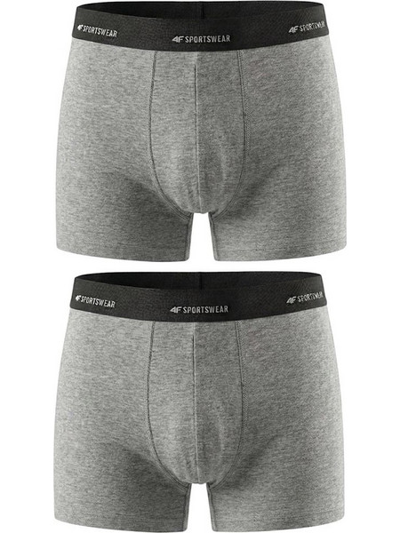 4F Ανδρικά Μποξεράκια Σετ 2Pack Γκρι 4FWMM00UBXSM080-27M
