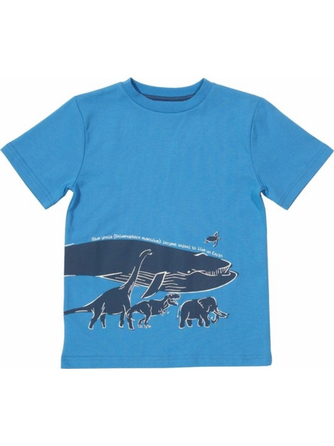 Kite Παιδικό T-Shirt Κοντομάνικο KB0506