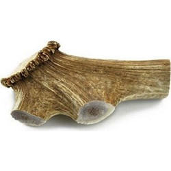 Chew Chew Κέρατο Ελαφιού Fallow Giant 1τμχ 180-240gr