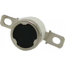 RICOH THERMOSTAT AW110027