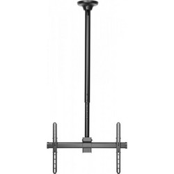 Reflecta Pallas 70-6040T Οροφής 37" - 70"
