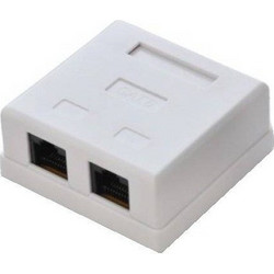 Πρίζα Δικτύου επίτοιχη utp cat5e 2 θυρών RG45 λευκή GN002 Alantec