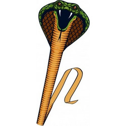 Gunther Χαρταετός Cobra 69 x 64 εκ. (1154)