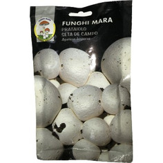ΜΑΝΙΤΑΡΙΑ AGARICUS BISPORUS