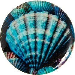 Blue Shell