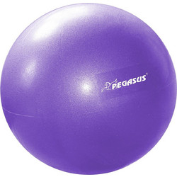 Pegasus Μπάλα Pilates 25cm 0.19kg σε Μωβ Χρώμα 321151060 ref10154335