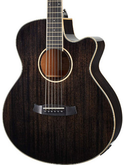 Tanglewood TW4EBS Winterleaf Super Folk Black Shadow High Gloss