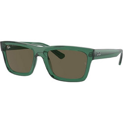 Ray-Ban RB4396 6681/3 Γυαλιά Ηλίου Τετράγωνα Κοκάλινα Πράσινα με Καφέ Polarized Φακό