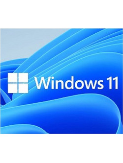 Microsoft Windows 11 Professional 64bit English