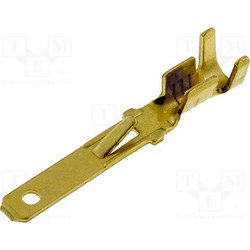 pin για Φίσα - Iso θυλική (FΕMΑLΕ ) ICE342800