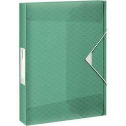 Κουτί Esselte A4 PP Colour' Breeze 25mm με λάστιχο 626258 Green