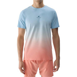 4F Ανδρικό Αθλητικό T-Shirt Πολύχρωμο 4FWSS24TTSHM1290-34S