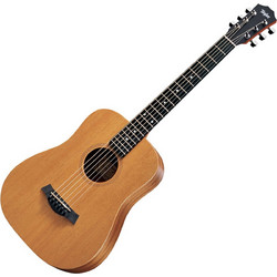 Taylor BT2 Baby Mahogany Natural