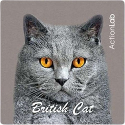 Action Lab Μαγνητάκι Magnet British Cat