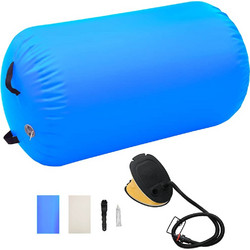 vidaXL Κύλινδρος Γυμναστικής Φουσκωτός Μπλε 100 x 60 εκ. PVC & Τρόμπα