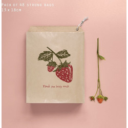 Σακουλάκια 13x18 (48)Thank you berry much