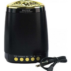 Wster WS-2907 Ηχείο Bluetooth 5W Μαύρο