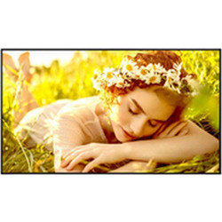 LG Videowall 43UL5Q-E 43"