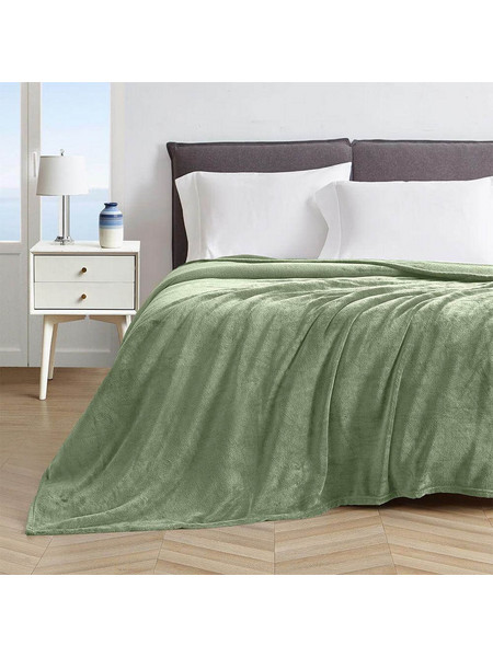 LINO ΚΟΥΒΕΡΤΑ ΒΕΛΟΥΤΕ PELLO MINT 220X240