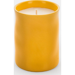 Κερί Frosting Fir & Vanilla Birch 300gr