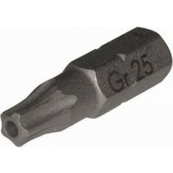 Μύτη TORX 25 IPR
