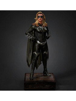 Φιγούρα Batgirl Museum Pose from Batman and Robin 3D εκτυπωμένη