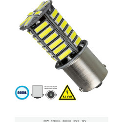 Globostar P21W LED Ψυχρό Λευκό 36 SMD 12V 8W 1τμχ