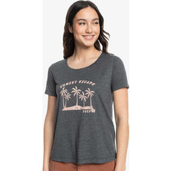 Roxy Chasing The Wave Γυναικείο Αθλητικό T-Shirt Γκρι