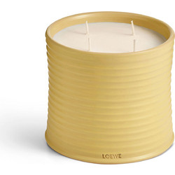 LOEWE HONEYSUCKLE LARGE SCENTED CANDLE