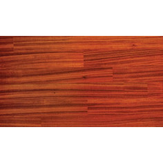 ΠΑΡΚΕ PADAUK NATURA SHELMAN ΚΑΡΦΩΤΟ
