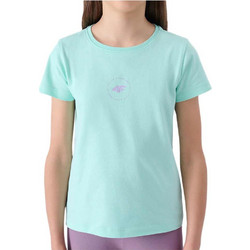 4F Παιδικό T-Shirt Κοντομάνικο Βεραμάν 4FJWSS24TTSHF1111-47S
