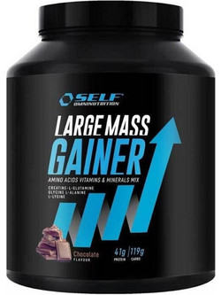 Self Omninutrition Large Mass Gainer Chocolate Πρωτεΐνη Ορού Γάλακτος Όγκου 2kg